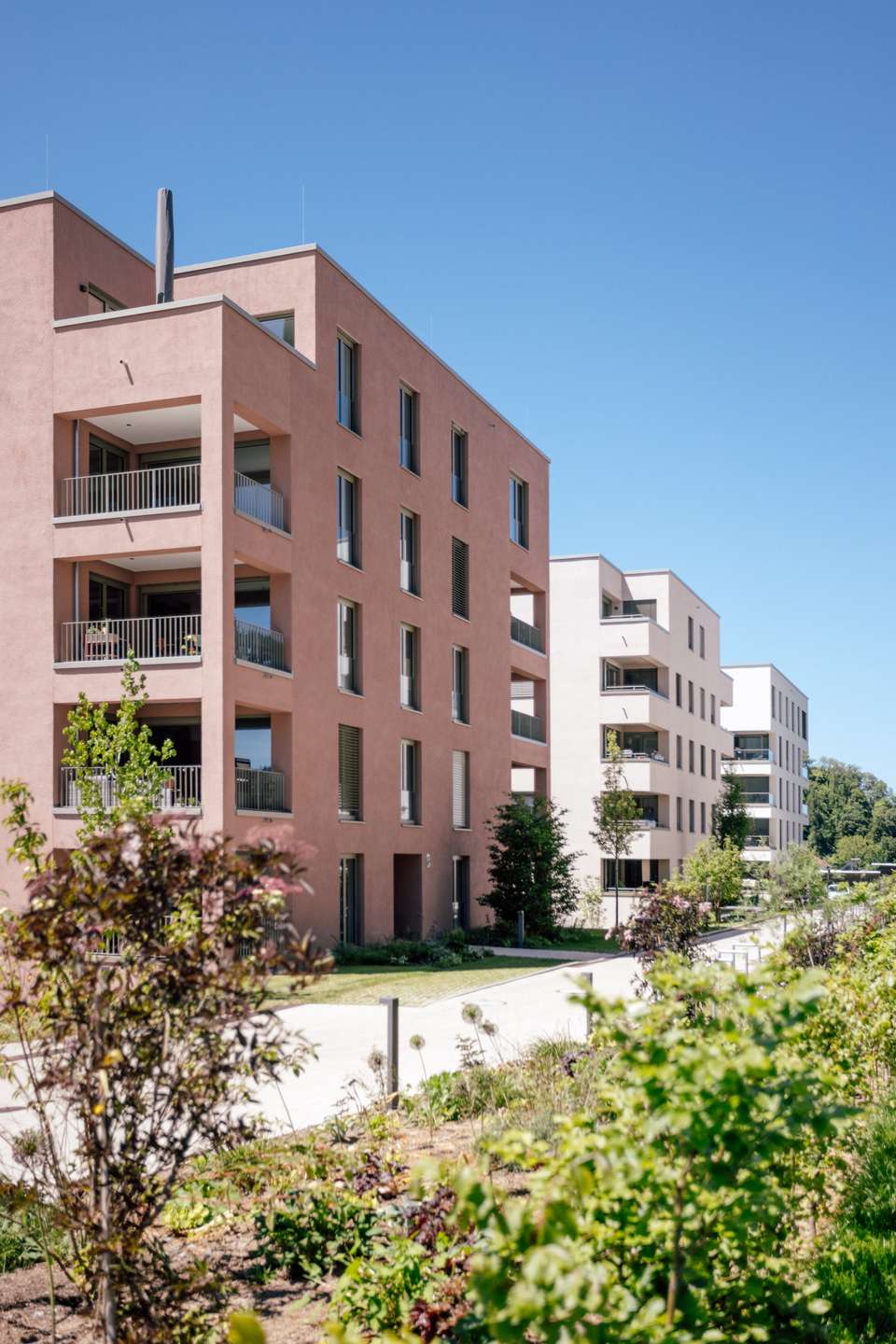 Außenansicht Moderne, rosafarbene Wohnhäuser mit Balkonen, großen Fenstern und gepflegten Gärten davor, unter einem strahlend blauen Himmel.
